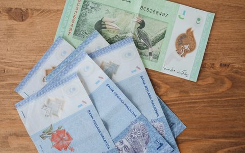 Malaysian ringgit notes